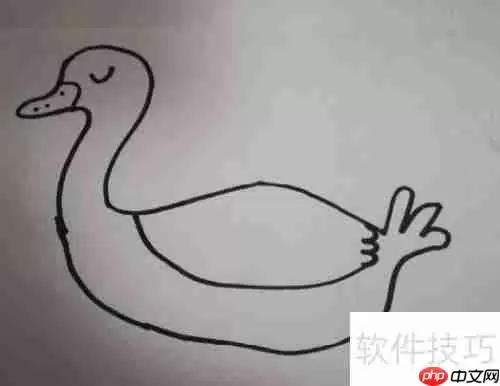 学会这几种天鹅简笔画，让你的绘画更生动！