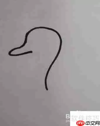 学会这几种天鹅简笔画，让你的绘画更生动！