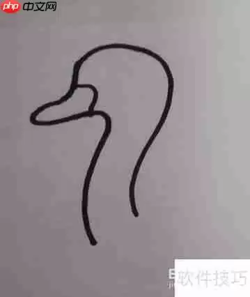 学会这几种天鹅简笔画，让你的绘画更生动！