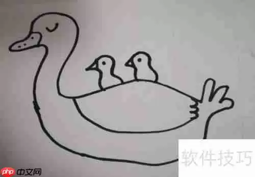学会这几种天鹅简笔画，让你的绘画更生动！