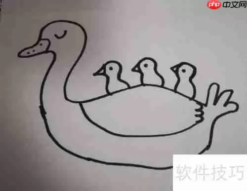 学会这几种天鹅简笔画，让你的绘画更生动！