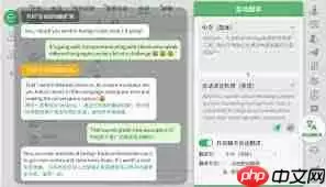 自带翻译功能的社交软件有哪些