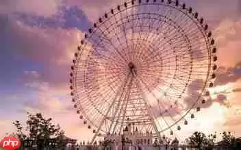 抖音财迷小刘摩天轮什么梗