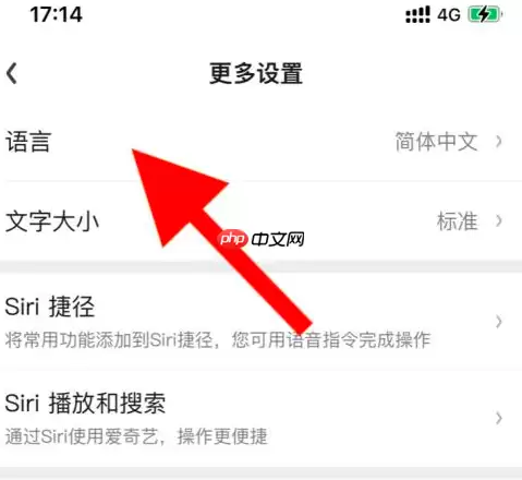 爱奇艺语言如何设置