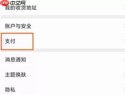 淘宝先用后付额度怎么查看