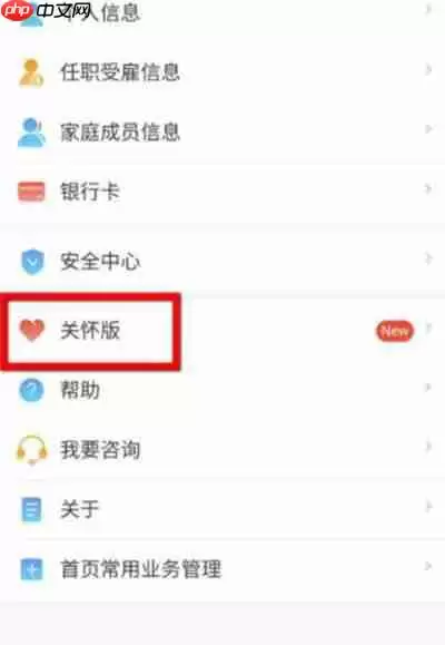 个人所得税关怀模式怎么开启