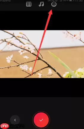 VUE在右下角怎么添加文字？VUE在右下角添加文字的方法分享