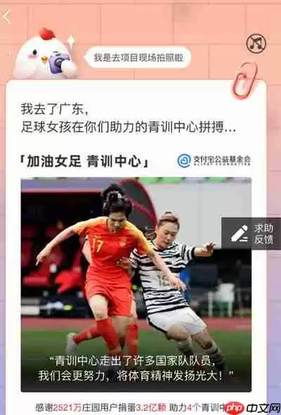 蚂蚁庄园小鸡什么时候回来