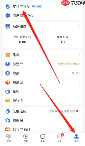 支付宝白露节气皮肤怎么领取