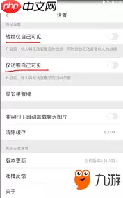 王者助手营地怎么设置面板