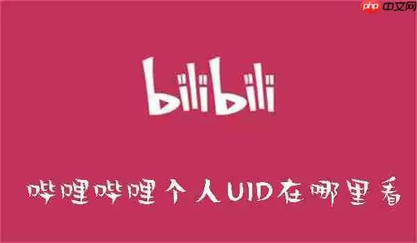 哔哩哔哩个人UID在哪里看