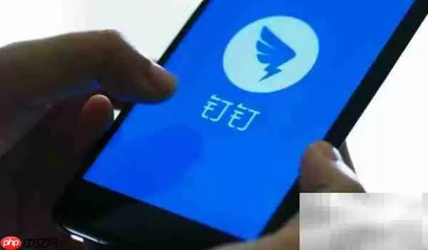 钉钉分身打开方法