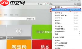 360极速浏览器怎么设置隐私模式浏览？设置隐私模式浏览步骤解析