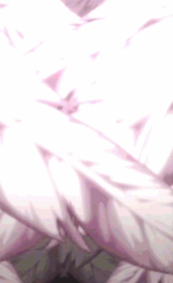 Doro来啦!《胜利女神:新的希望》重磅更新,入坑得400抽与4位SSR