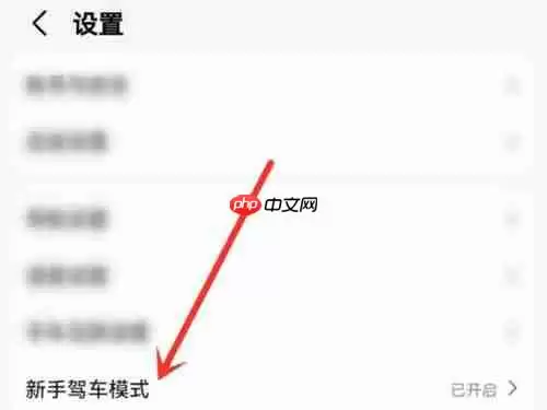 高德地图新手模式怎么关