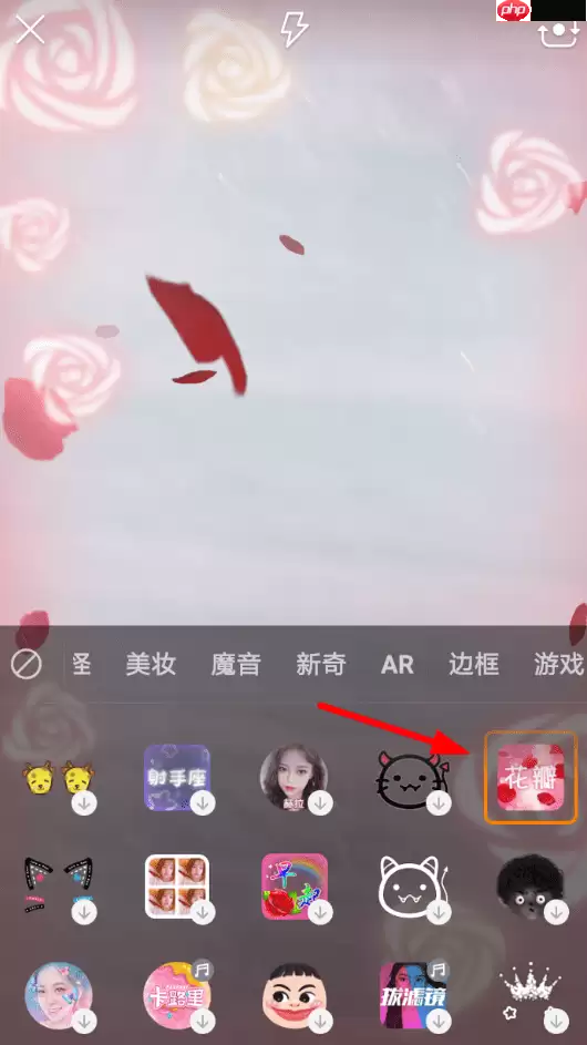 快手APP怎么设置玫瑰花瓣特效？设置玫瑰花瓣特效的方法说明