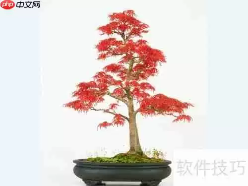 红枫换盆指南：步骤与注意事项