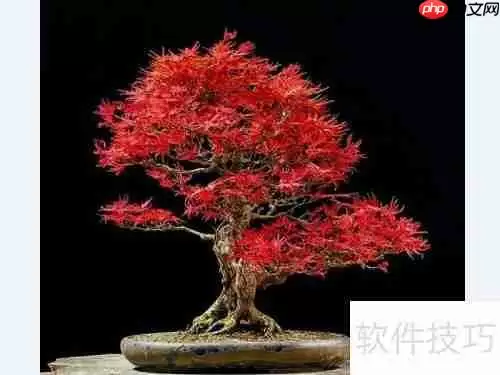 红枫换盆指南：步骤与注意事项