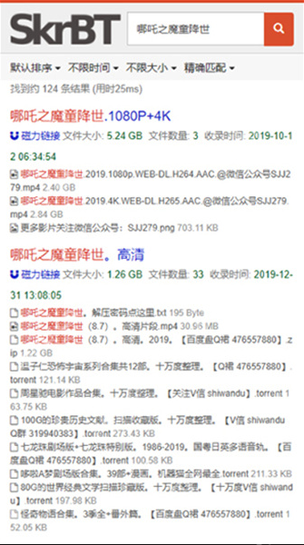 skrbt引擎浏览器入口_skrbt搜索引擎直接进入 - 游乐网