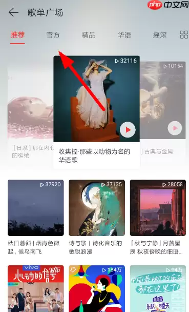 网易云音乐官方vip歌单如何看 官方vip歌单查看方法解析