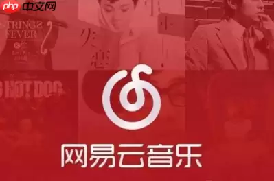 网易云音乐官方vip歌单如何看 官方vip歌单查看方法解析