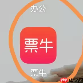 票牛什么时候出票 票牛APP一直显示待发货