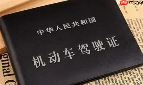 12123电子驾驶证可以不带驾驶证吗