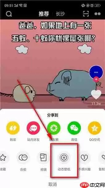怎么下载抖音插件？下载抖音插件的方法说明