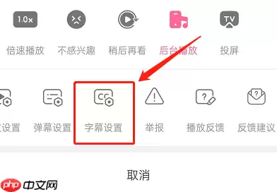 哔哩哔哩短视频怎么开启字幕?哔哩哔哩短视频开启字幕方法