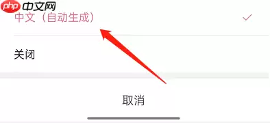 哔哩哔哩短视频怎么开启字幕?哔哩哔哩短视频开启字幕方法