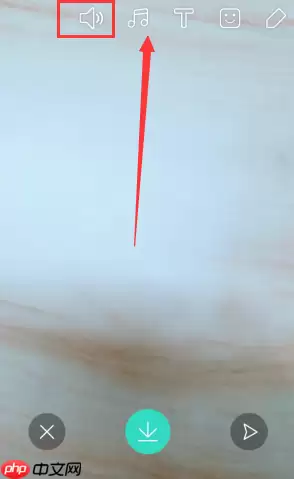 在Faceu激萌里怎么将原声消掉？将原声消掉的方法说明