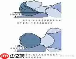 选购枕头越高越好吗