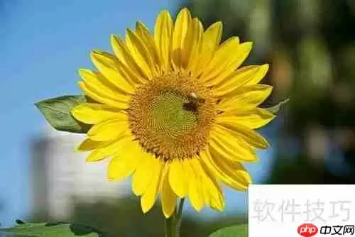 特殊洗浴方法:解锁独特的清洁与护理方式