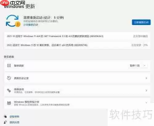 Windows10工作站升级Win11专业工作站版