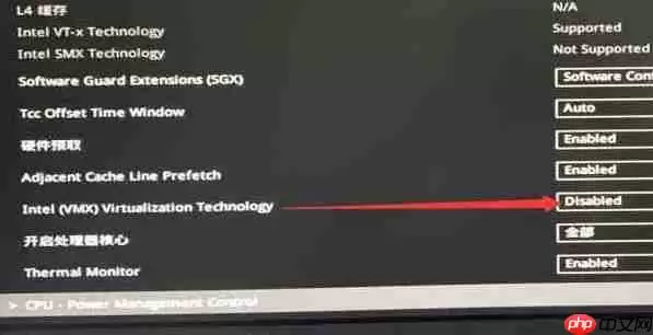 雷电模拟器幻塔黑屏怎么办?雷电模拟器幻塔黑屏的解决方法