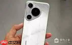 华为p70怎么设置按返回键震动