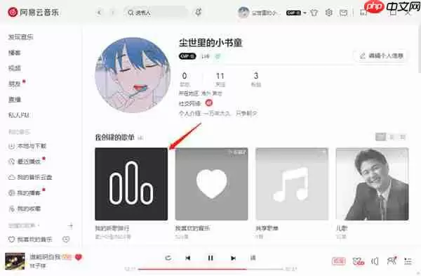 网易云音乐电脑端怎么查看自己的听歌次数