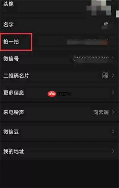 微信拍一拍内容在哪里设置的
