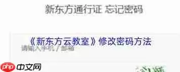 新东方云教室密码怎么设置