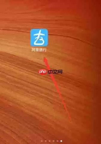 ？查看航班动态的步骤分享在阿里旅行里怎么查看航班动态