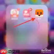 探探如何查看动态