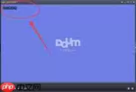 potplayer如何设置最前端