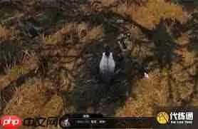 逆水寒手游狼口逃生奇遇任务怎么做-逆水寒手游狼口逃生奇遇任务攻略分享