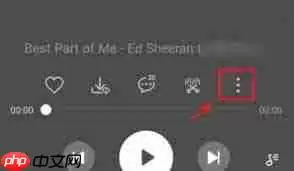 汽水音乐开机自动播放的原因是什么