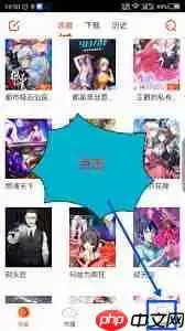 漫画岛APP如何导入本地漫画