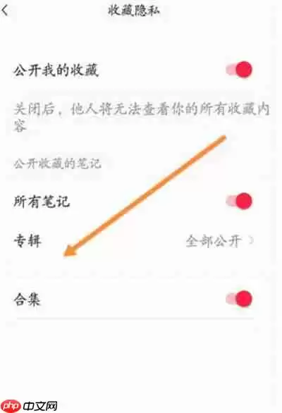 小红书怎么公开专辑