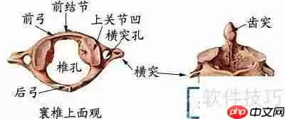 学好医学的方法和建议