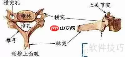 学好医学的方法和建议