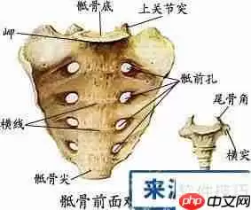 学好医学的方法和建议