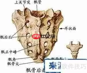 学好医学的方法和建议